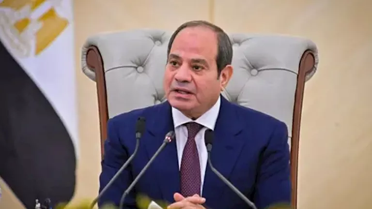 السيسي في القمة الروسية الأفريقية: نرفض المساس بسيادة السودان
